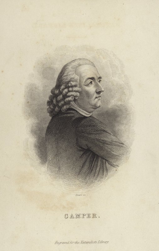 Petrus Camper door Dutch School