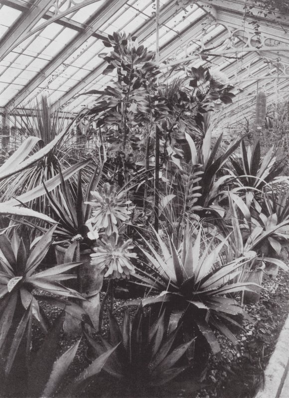 Kew Gardens, ca. 1900 door E. J. Wallis