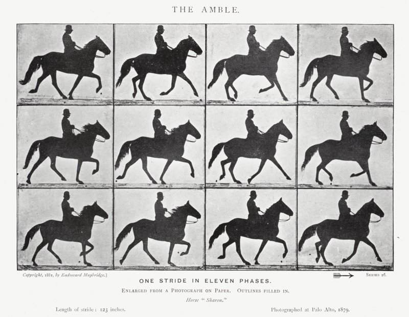 Eadweard Muybridge: De draf door Eadweard Muybridge