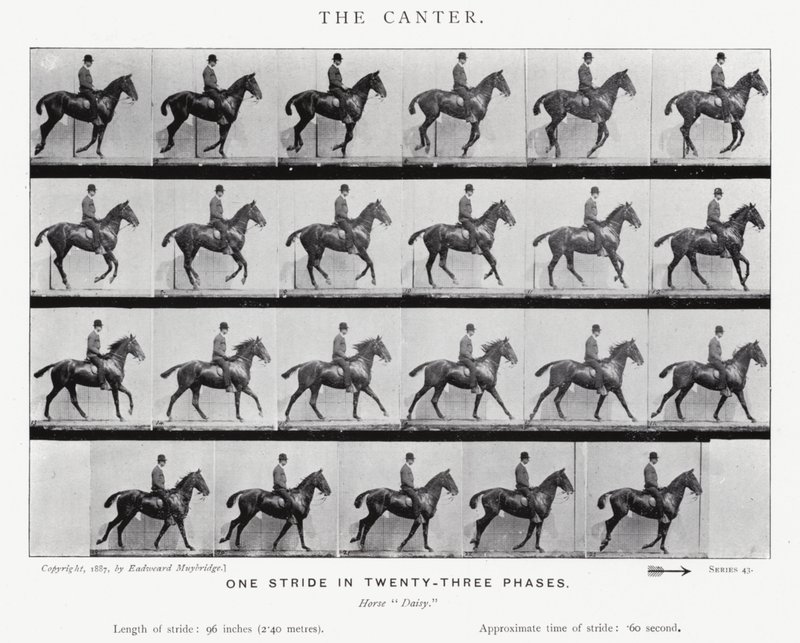 De canter door Eadweard Muybridge