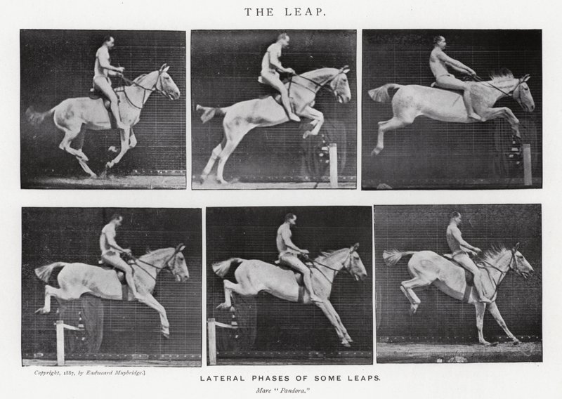 De Sprong door Eadweard Muybridge