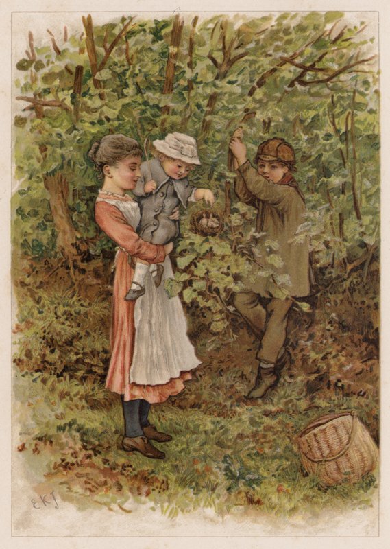 Flapsy en Pecksy door Edward Killingworth Johnson