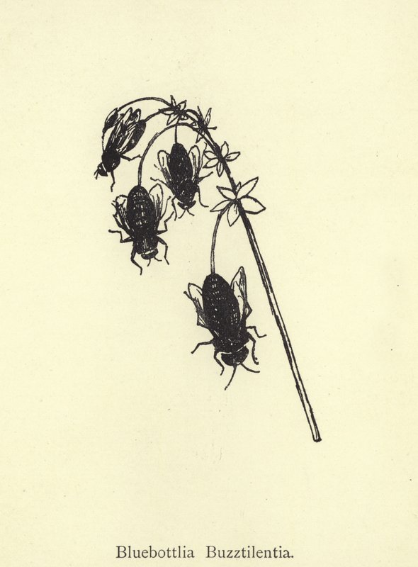 Bluebottlia Buzztilentia door Edward Lear