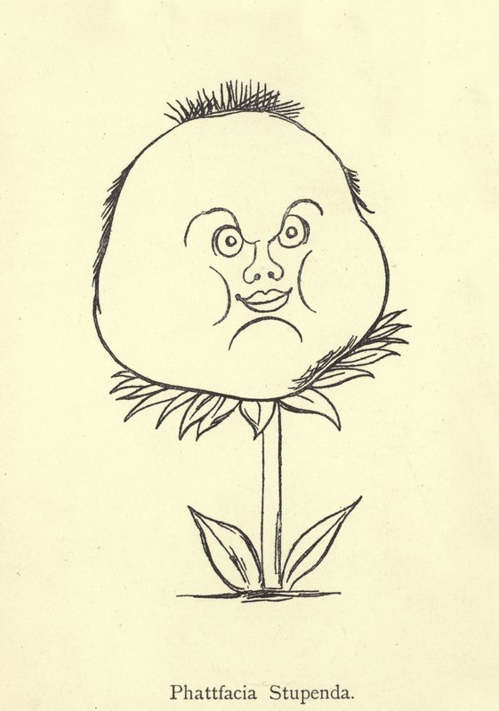 Phattfacia Stupenda door Edward Lear