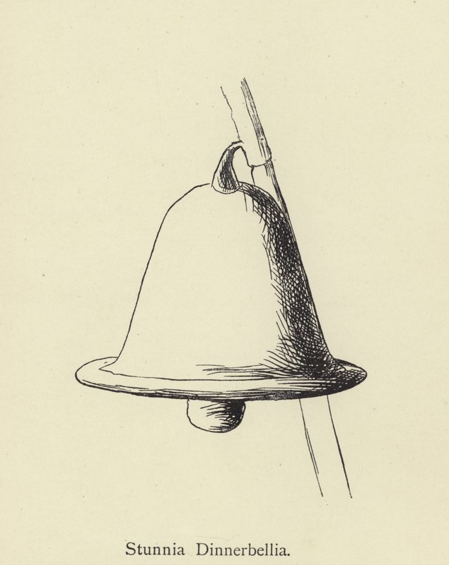 Stunnia Dinnerbellia door Edward Lear