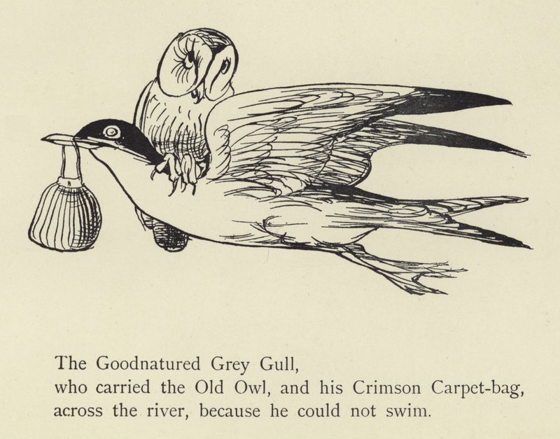De Goedaardige Grijze Meeuw door Edward Lear