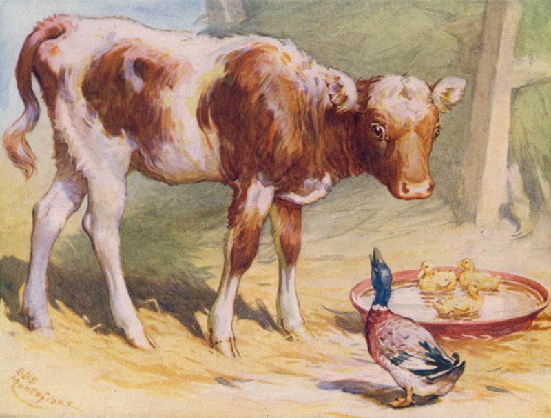 Kalf en eenden door Edward Brice Montefiore