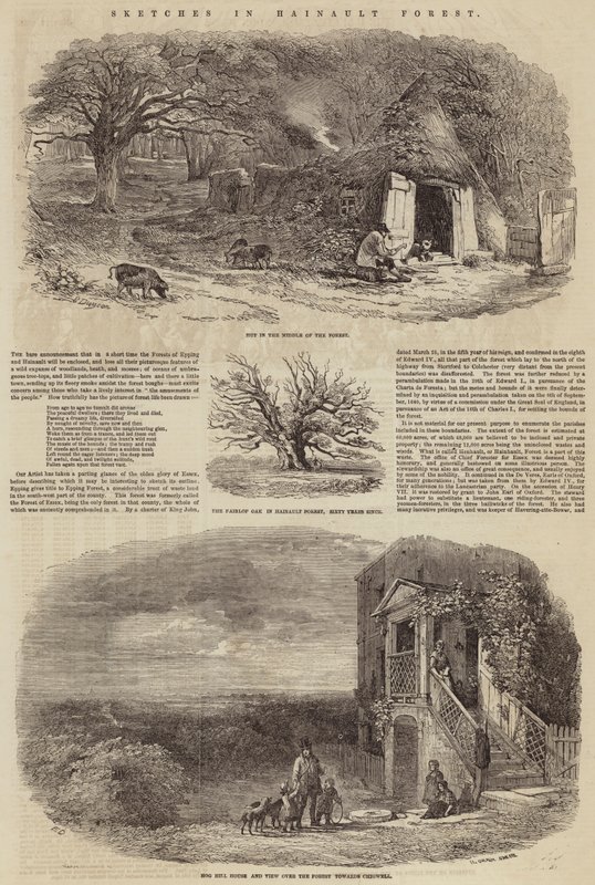 Schetsen in Hainault Bos door Edward Duncan