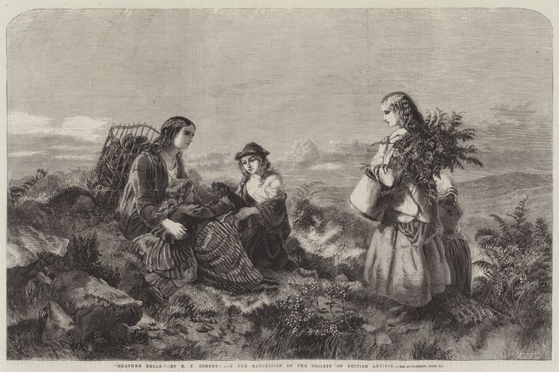 Heideklokjes door Edward John Cobbett