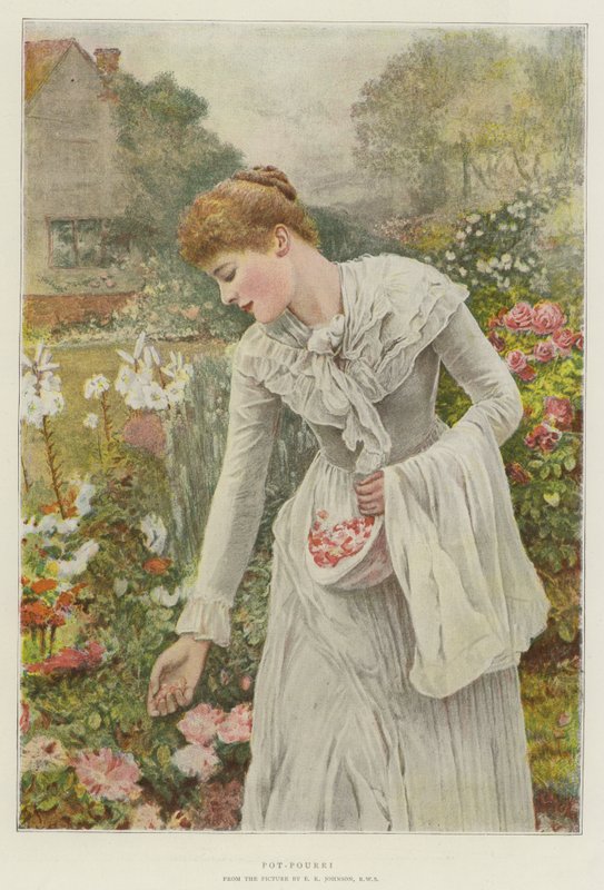 Potpourri door Edward Killingworth Johnson
