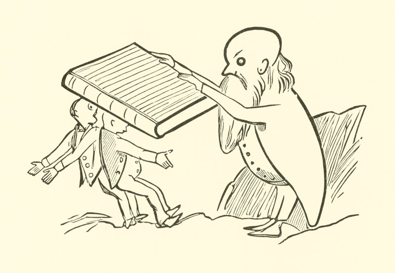 De twee oude vrijgezellen door Edward Lear