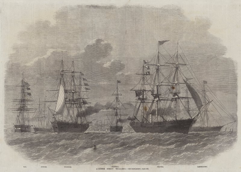 Dundee schroefwalvisjagers door Edwin Weedon