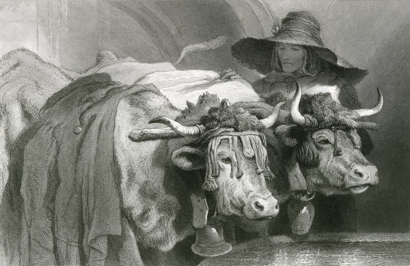 Ossen bij de tank, Genève (gravure) door Edwin (after) Landseer