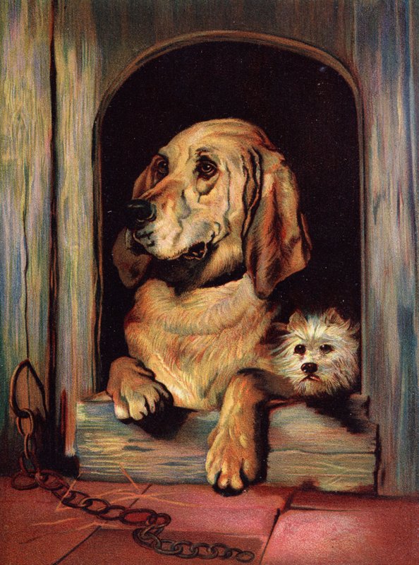 Waardigheid en Onbeschaamdheid door Edwin Landseer
