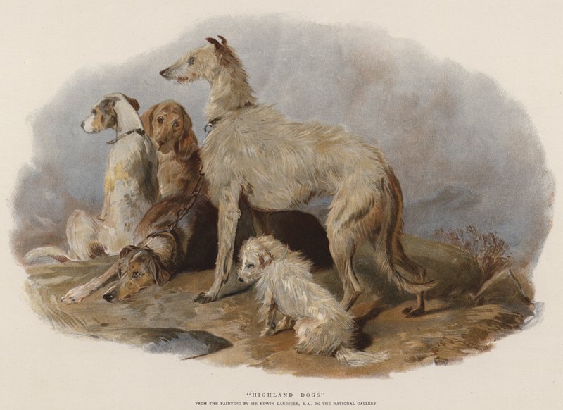 Hooglandhonden door Edwin Landseer