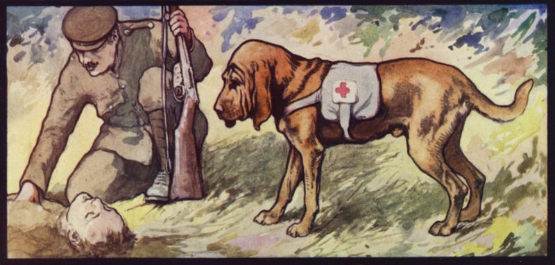 Ambulance Bloedhond door Edwin Noble