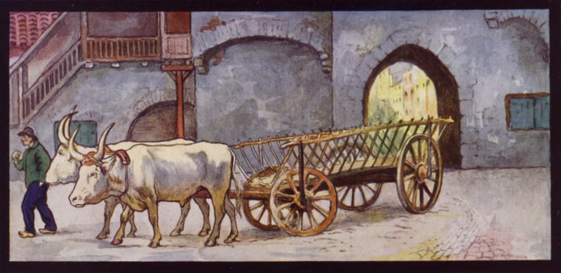 Trekossen in Spanje door Edwin Noble