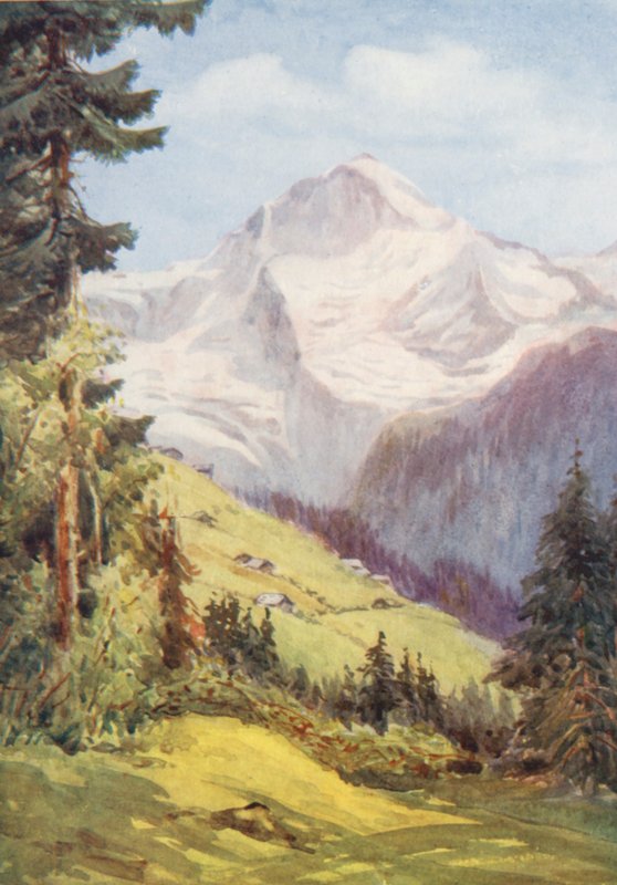 Zwitserland door Effie Jardine