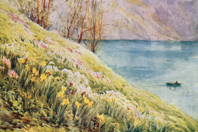 Zwitserland door Effie Jardine