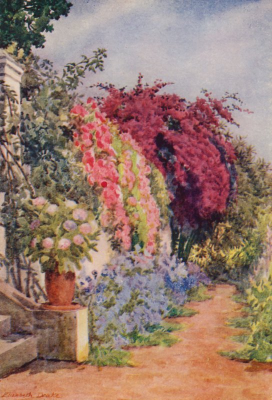 Bougainvillea en rozen, Welgelegen, Rosebank (kleurenlitho) door Elizabeth Drake