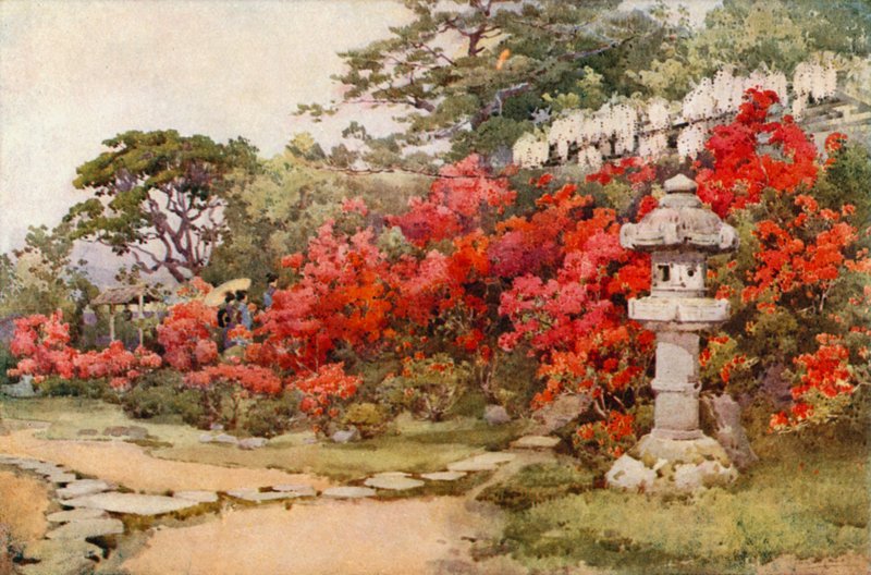 Azalea