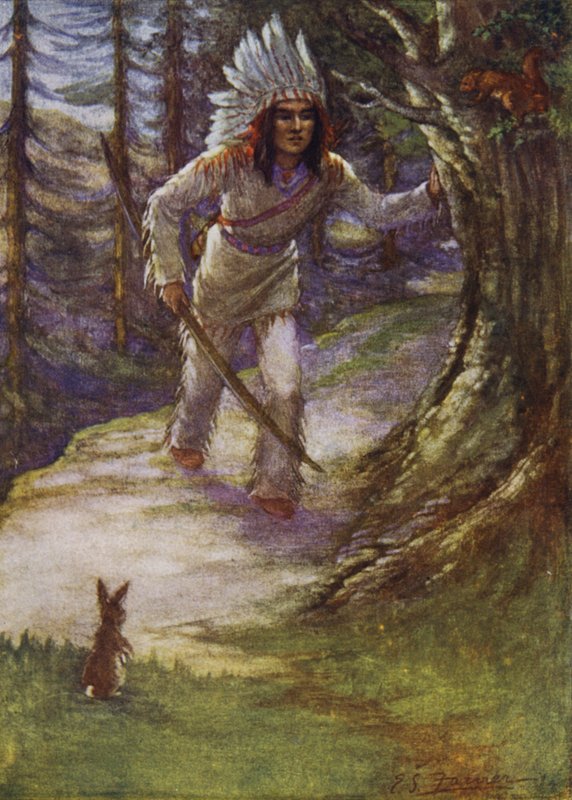 Schiet ons niet neer, Hiawatha door Emily Farmer