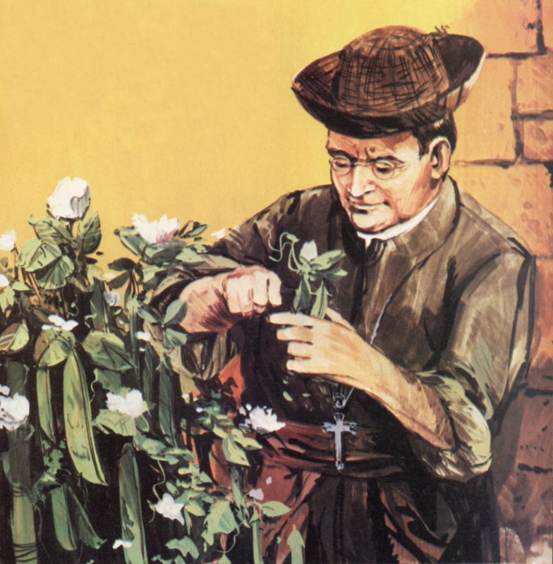 Johann Mendel werkt in zijn kloostertuin door English School