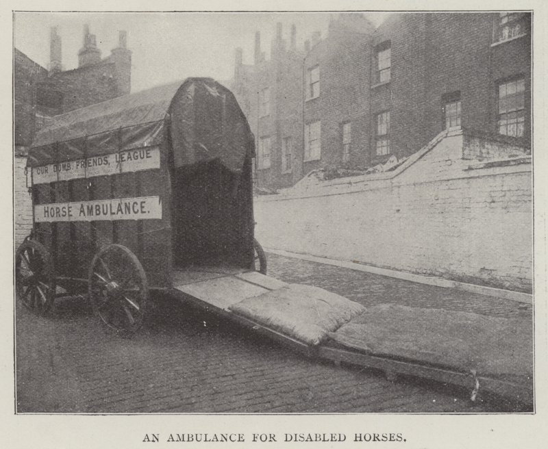 Een Ambulance voor Gehandicapte Paarden door English Photographer