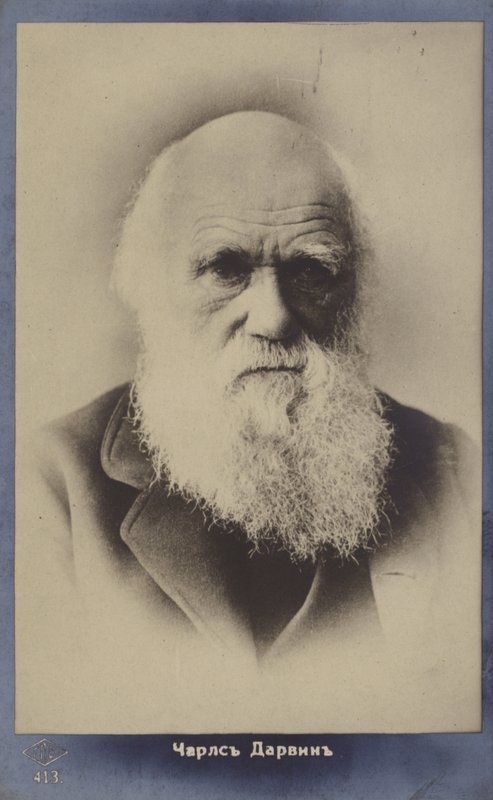 Charles Darwin (1809-1882), Engelse natuuronderzoeker door English Photographer