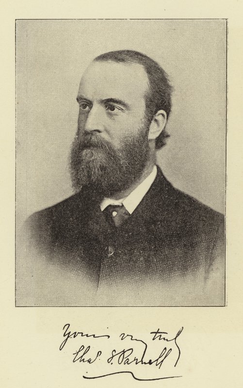 De Heer Charles Stewart Parnell, MP door English Photographer