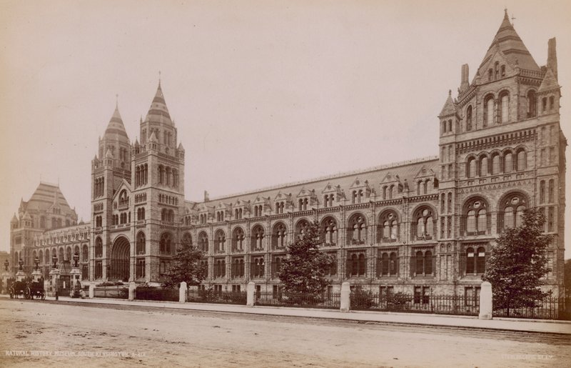Natuurhistorisch Museum, South Kensington, Londen door English Photographer