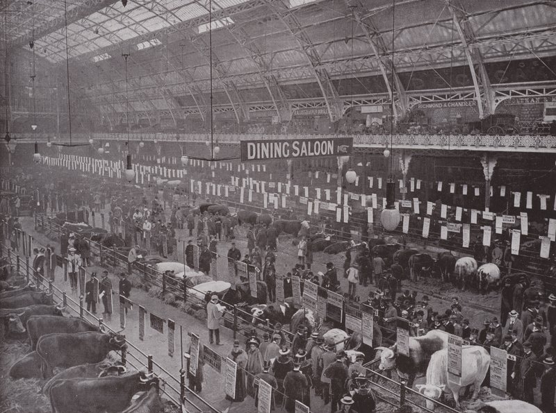 De Vee Show, Royal Agricultural Hall door English Photographer