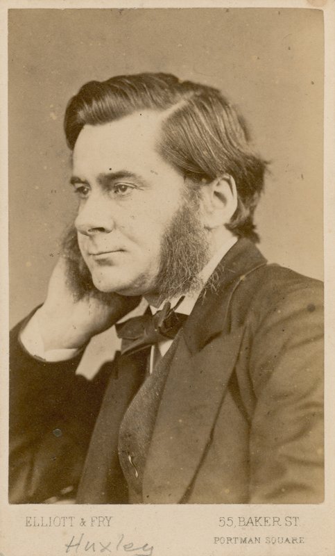 Thomas Henry Huxley door English Photographer