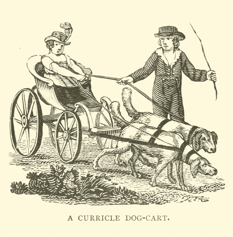 Een curricle dog-cart door English School