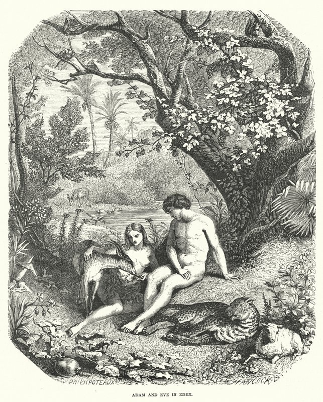 Adam en Eva in Eden door English School