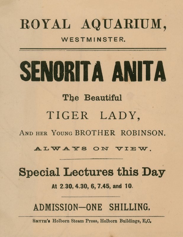 Advertentie voor Senorita Anita door English School