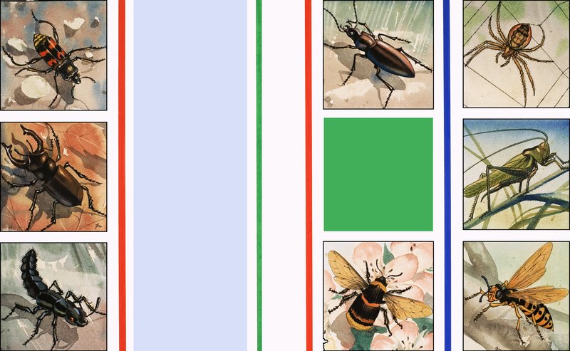 Allerlei insecten door English School