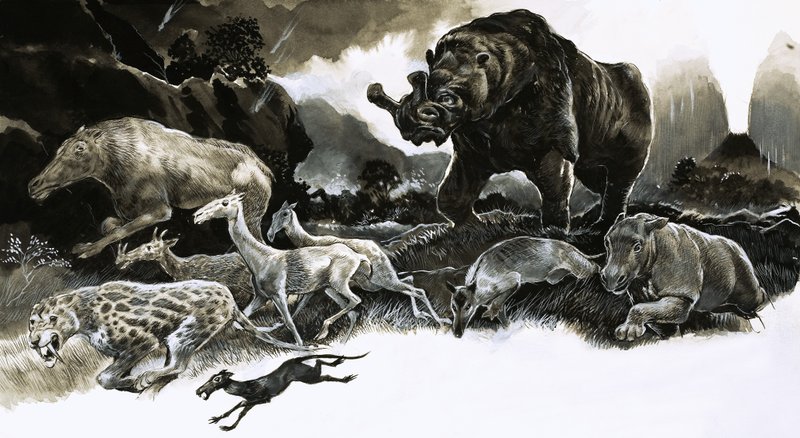 Dieren uit het Oligoceen door English School