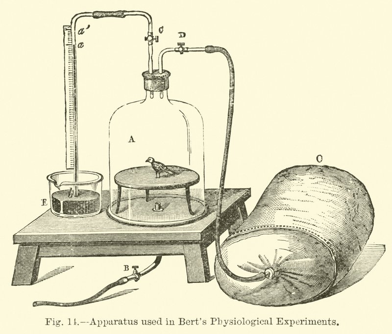 Apparatuur gebruikt in Berts fysiologische experimenten door English School