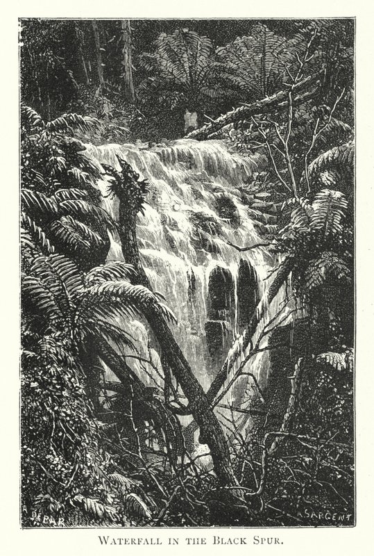 Australië: Waterval in de Black Spur door English School