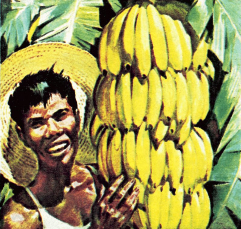Bananen door English School