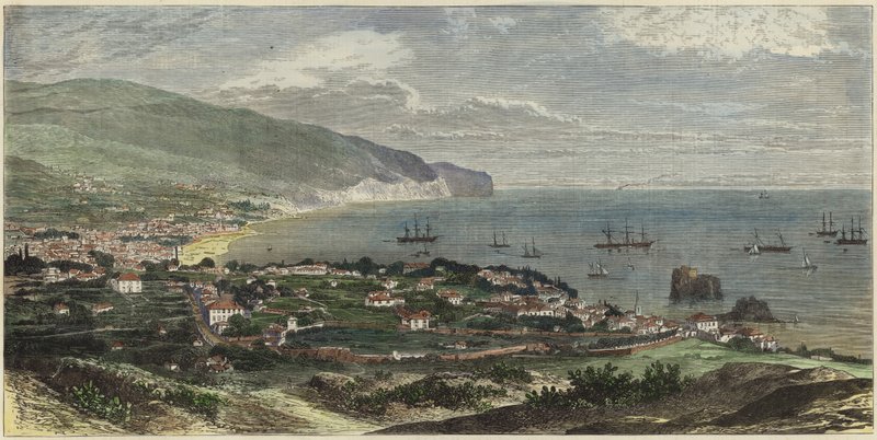 Baai en stad Funchal door English School