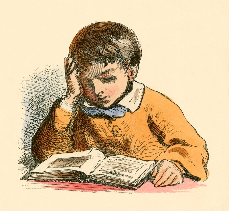 Jongen die leest door English School