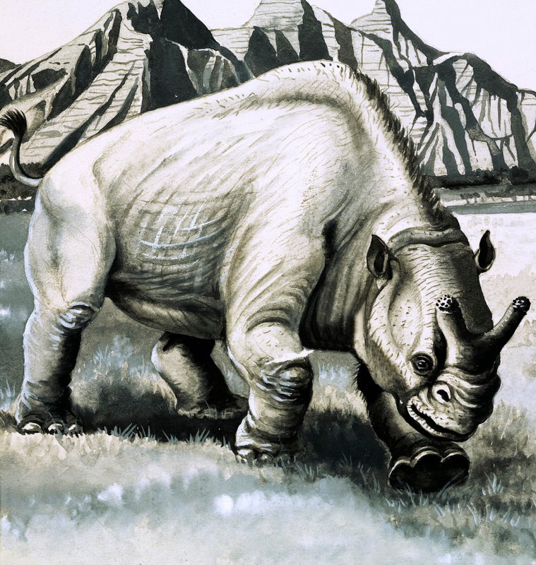Brontotherium uit het Oligoceen door English School