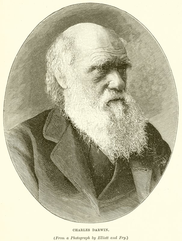 Charles Darwin door English School