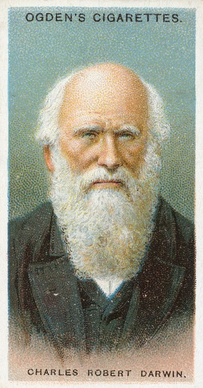 Charles Robert Darwin door English School