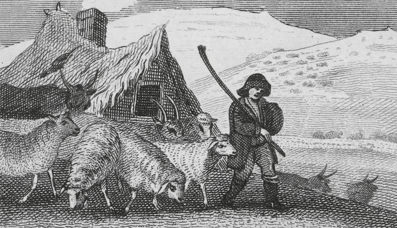 Cheviot herders door English School