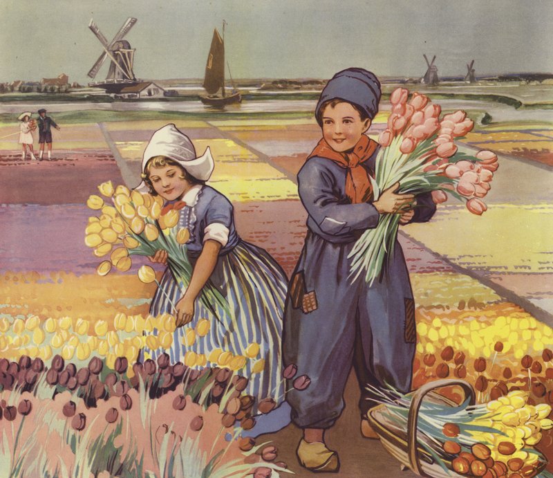 Kinderen die tulpen plukken in Nederland door English School