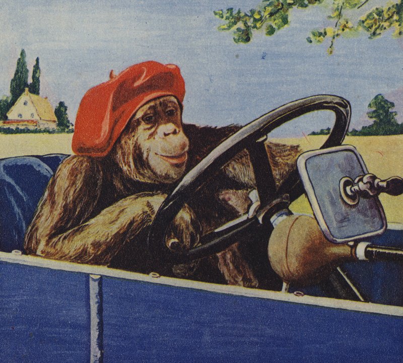 Chimpansee die een auto bestuurt door English School