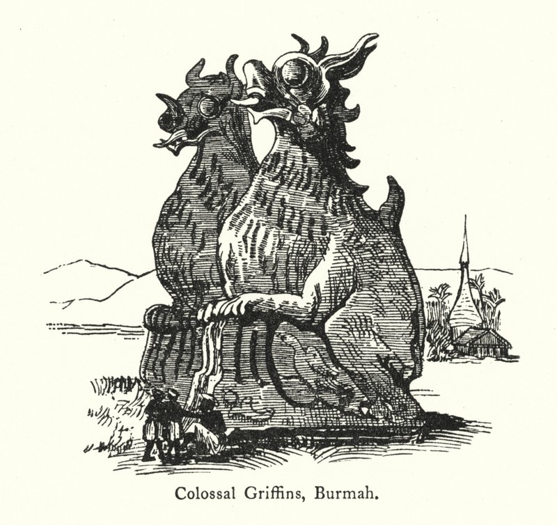 Kolossale Griffioenen, Birma door English School